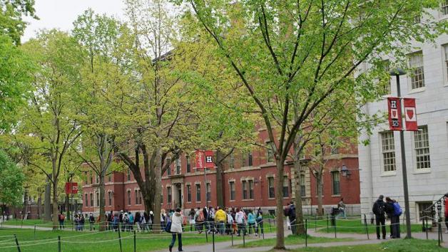 harvard business school optional essay harvard business school optional essay