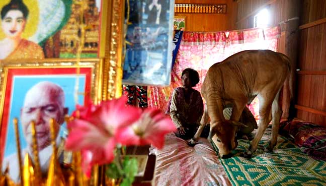 cambodia