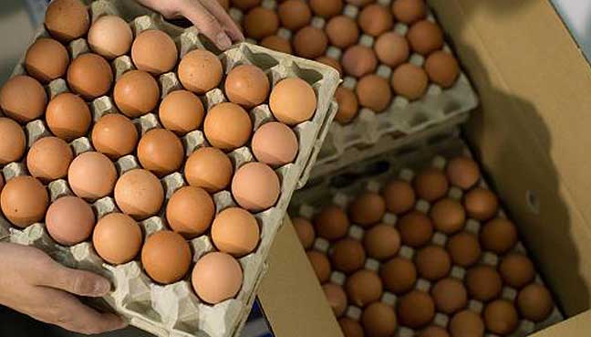 UK Hikes Estimate of Pesticide Contaminated Eggs; No Public Health Risk Expected