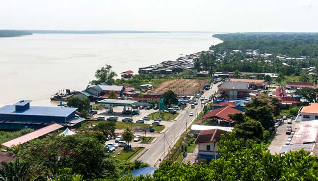 Beluran1