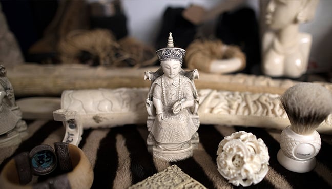 Britain set to ban ivory sales