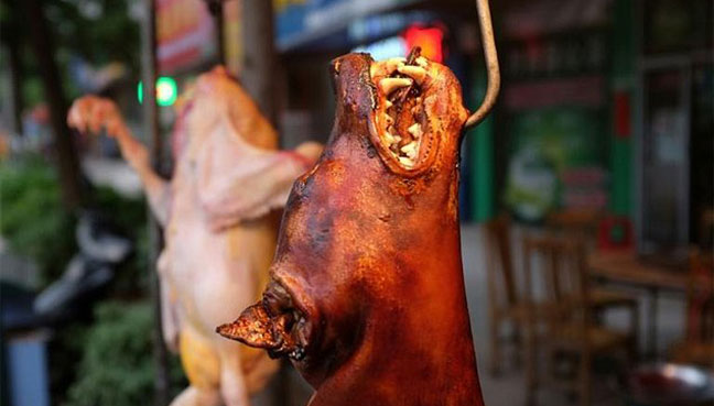 Killing dogs for meat ruled illegal by South Korean court