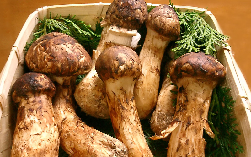 10 makanan termahal dunia yang anda kena tahu Free Malaysia Today (FMT)