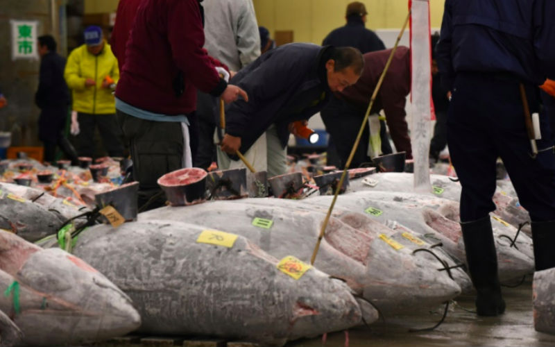 The largest fish market in the world closed to build a Parking
