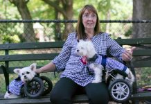 Netflix docu-series ‘Dogs’ lovingly serves up the human bond