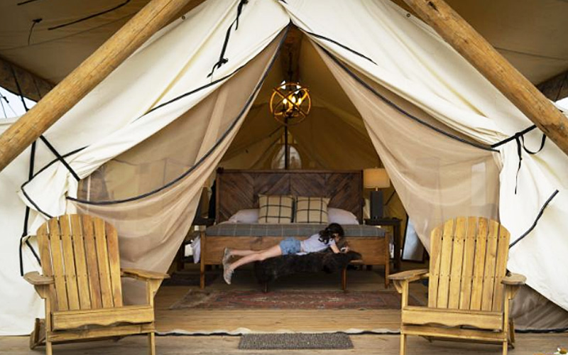 Glamping The Way To Go In Penang Hill Not Hotels Says Group Free Malaysia Today Fmt