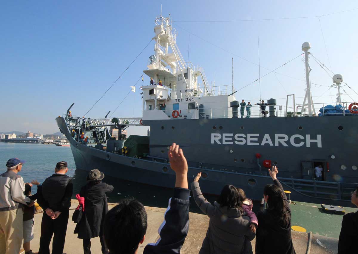 A Japanese whaling ship leaves the port of Shimonoseki in Yamaguchi prefecture western Japan to resume whale hunting in the Antarctic