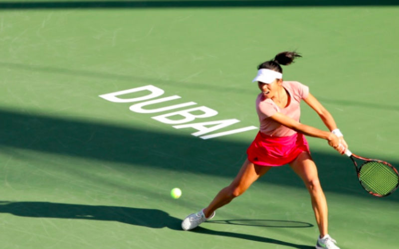 Hsieh Su-wei fought back to beat Karolina Pliskova