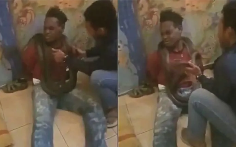 The police involved have apologised for using a live snake as part of interrogation methods to deal with petty crime