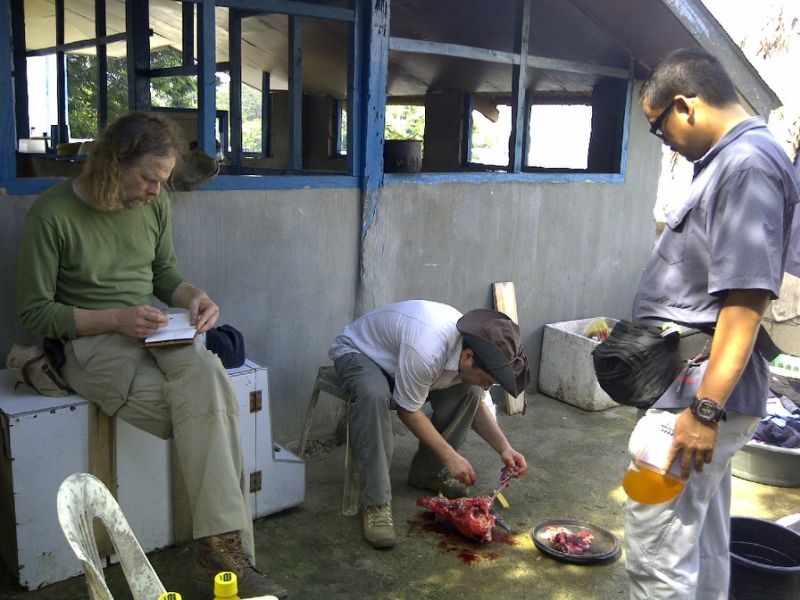 Dutch hostage held by Filipino militants killed in gubattle