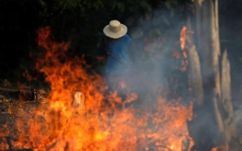 Brazil rejects $20 million of Amazon fire aid from G7