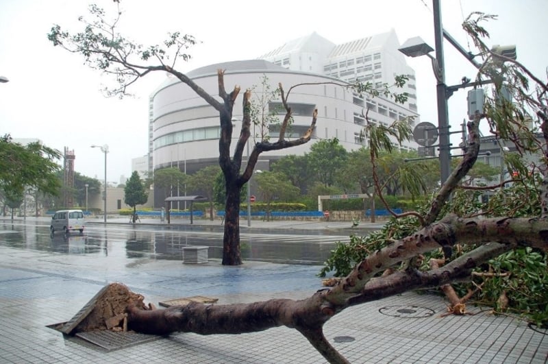 Japan launches major rescue after ‘immense’ typhoon floods Japan launches major rescue after ‘immense’ typhoon floods