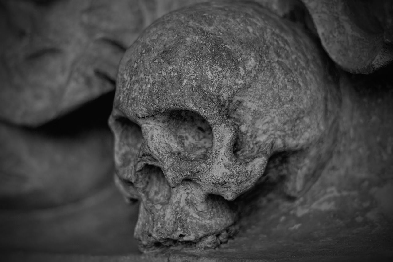 Mexico City investigates 42 skulls in drug lair