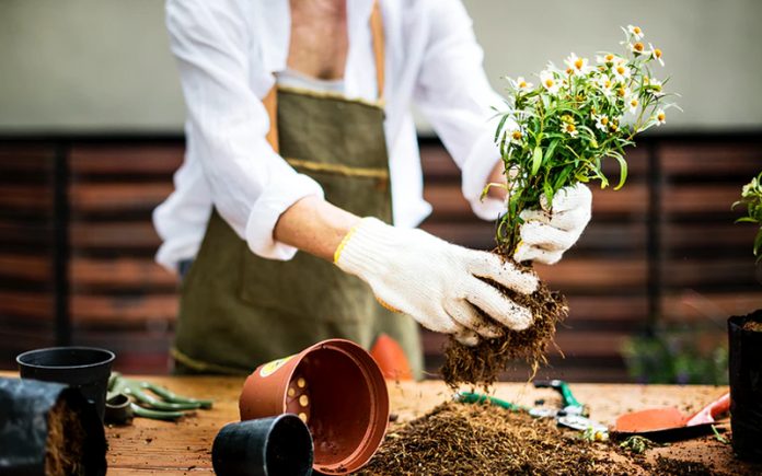 Elderly daycare: Keeping the elderly active and alert | Free Malaysia