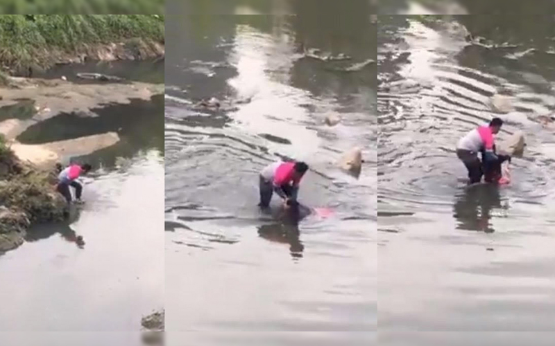 Tindakan Berani Rider Foodpanda Dipuji Selamatkan Wanita Hampir Lemas Free Malaysia Today Fmt