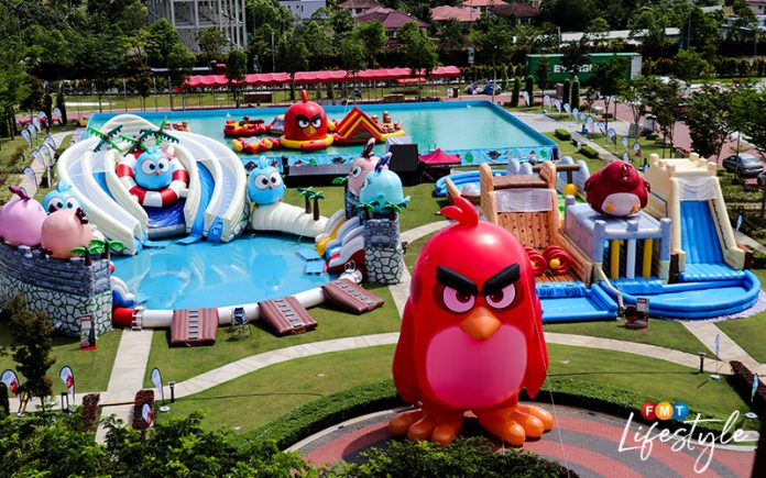 angry birds splash water world