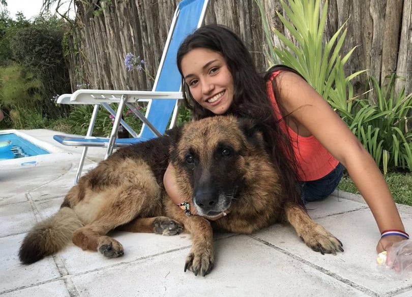 Seronok Bergambar Bawa Padah Anjing German Shepherd Gigit Muka