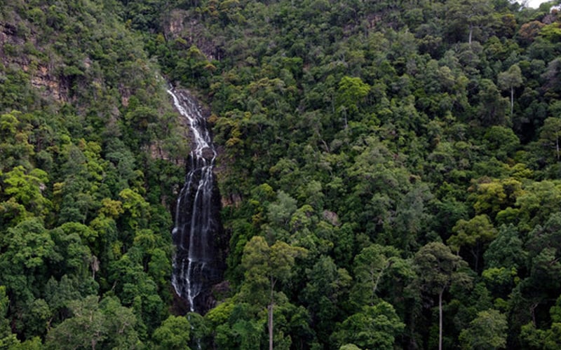 DUN Selangor lulus usul pertahan status pewartaan hutan ...