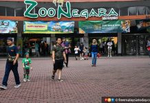 Lack Of Funds Holds Back Improvements To Zoo Negara Free Malaysia Today Fmt