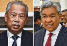 PPBM-friendly Umno bigwigs moving on Zahid?