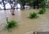 Island in Sabah marine park flooded after heavy rain