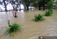 Island in Sabah marine park flooded after heavy rain