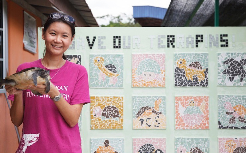 Youths Come Out Of Their Shells To Raise Rm11 000 For Terrapins Free Malaysia Today Fmt