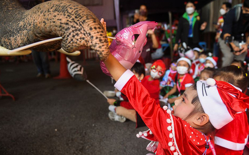 Trunk delivery: in Thailand, Santa hands out presents on elephants 5 Trunk delivery: in Thailand, Santa hands out presents on elephants 4
