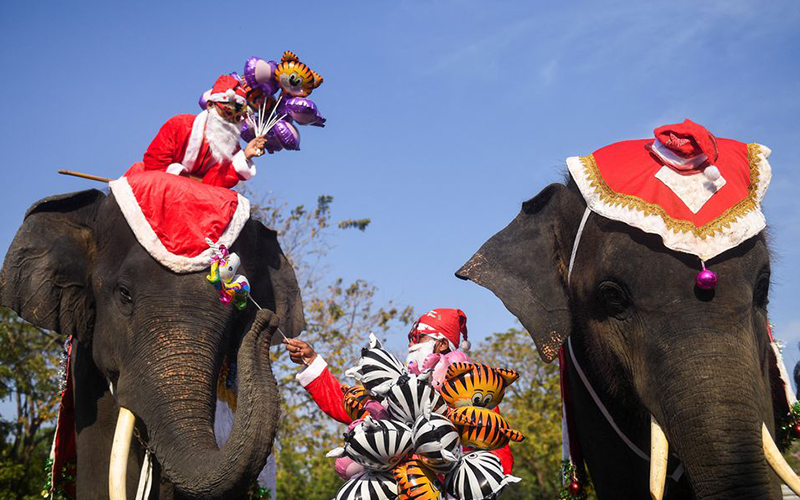 Trunk delivery: in Thailand, Santa hands out presents on elephants 4 Trunk delivery: in Thailand, Santa hands out presents on elephants 3