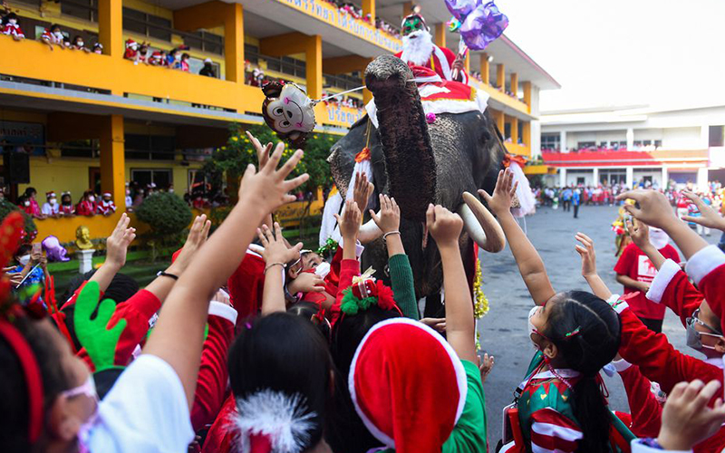 Trunk delivery: in Thailand, Santa hands out presents on elephants 3 Trunk delivery: in Thailand, Santa hands out presents on elephants